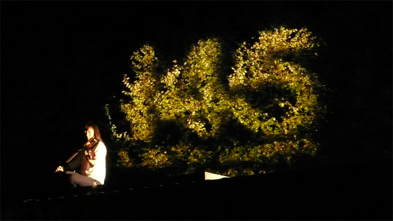 Karyn Lu playing vioin atop one of the storage containers at the evetnt, with the i45 logo projected onto the trees behind her